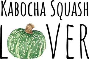 vattenfärg illustration av japansk kabocha squash. japansk pumpa. asiatisk mat. vattenfärg rå grönsaker. kabocha älskare vektor