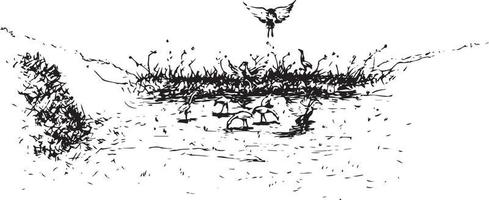 skiss av en grupp av fågel ser för mat i de fält vektor