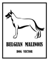 belgisk herde malinois vektorhund eps 10 vektor