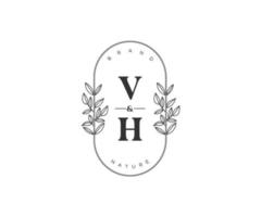 Initiale vh Briefe schön Blumen- feminin editierbar vorgefertigt Monoline Logo geeignet zum Spa Salon Haut Haar Schönheit Boutique und kosmetisch Unternehmen. vektor