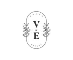 Initiale ve Briefe schön Blumen- feminin editierbar vorgefertigt Monoline Logo geeignet zum Spa Salon Haut Haar Schönheit Boutique und kosmetisch Unternehmen. vektor