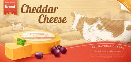 3d Illustration von Cheddar Käse Anzeige Banner. Werbung von natürlich Käse Rad serviert mit Minze Blätter und Trauben auf ein monoton Gravur Hintergrund vektor