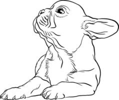 franska bulldogg valp klotter stil vektor illustration linje teckning svart och vit