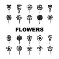Blume Frühling Blumen- blühen Symbole einstellen Vektor