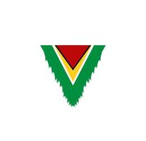 guyana flagga ikon, illustration av nationell flagga design med elegans begrepp, perfekt för oberoende design vektor