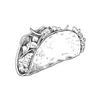 handgemalt skizzieren von Taco auf Weiß Hintergrund. schnell Essen Jahrgang Illustration. Element zum das Design von Etiketten, Verpackung und Postkarten vektor