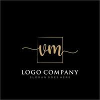 Initiale vm feminin Logo Sammlungen Vorlage. Handschrift Logo von Initiale Unterschrift, Hochzeit, Mode, Schmuck, Boutique, Blumen- und botanisch mit kreativ Vorlage zum irgendein Unternehmen oder Geschäft. vektor