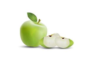 realistiskt äpple. frukt och färskt äpplevektor.