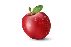 realistiskt äpple. frukt och färskt äpplevektor.