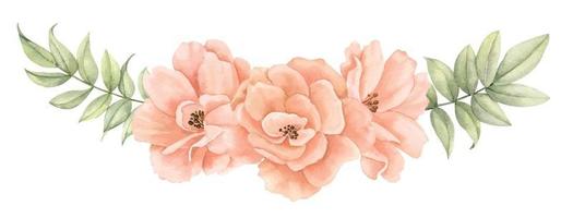 Aquarell Rose Blumen. Hand gezeichnet Blumen- Illustration von Blühen Pflanzen auf isoliert Hintergrund zum Gruß Karten oder Hochzeit Einladungen im Pastell- Beige und blass Rosa Farben. botanisch Komposition vektor