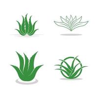 aloe vera logotyp ikon design symbol skönhet vektor