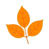 Vektor Herbst Blatt fallen Pflanze Symbol