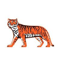 Bengal Tiger Ganzkörper Maskottchen vektor