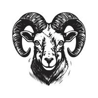 aoudad, årgång logotyp begrepp svart och vit Färg, hand dragen illustration vektor