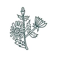 Blumenblattillustrationsentwurfsschablone vektor