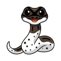 süß Oreo gescheckt Ball Python Karikatur vektor