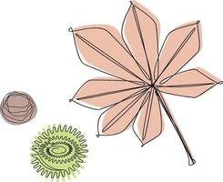 Kastanienblatt und Samen gemalte Strichzeichnungen vektor