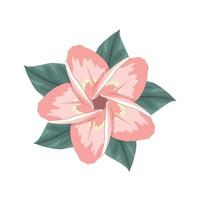 rosa plumeria blomma design. dekorationsblommor vektor