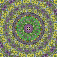 ein bunt Mandala mit ein Muster vektor