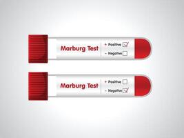 Blut Stichprobe Tube positiv zum marburg Virus, Blut im das Prüfung Tube Symbol. Vektor Illustration. das Blut Phiole und Prüfung Bausatz. es können Sein benutzt im medizinisch Materialien, Banner, Poster, und Zeitschriften.