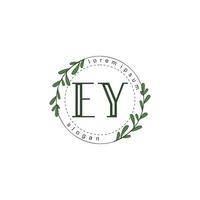 ey Initiale Schönheit Blumen- Logo Vorlage vektor