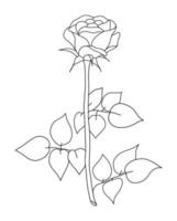 Gliederung Rose isoliert auf Weiß Hintergrund. Vektor illustartion