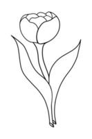 Gliederung Tulpe Blume isoliert auf Weiß Hintergrund vektor