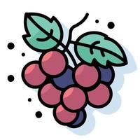 Früchte Bündel von lila Trauben vektor