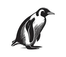 Pinguin Gesicht, Silhouetten Pinguin Gesicht, schwarz und Weiß Pinguin Vektor