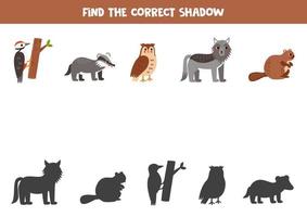 finden das richtig Schatten von süß Wald Tiere. logisch Puzzle zum Kinder. vektor