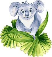 Karikatur Koala Aquarell Illustration isoliert auf Weiß Hintergrund. süß australisch Bär Charakter, Palme Blätter Hand gezeichnet. Design Element zum drucken, Hintergrund, Textil, kindisch Aufkleber, Poster vektor