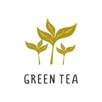 grön te vektor illustration, platt design tecknad serie av rik på antioxidanter
