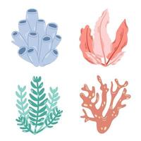 hand dragen färgrik korall och tång samling. modern platt illustration. vektor
