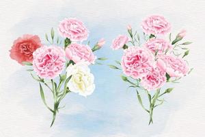 akvarell nejlikor blommor illustration vektor
