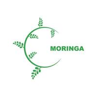 grön moringa blad logotyp, för ört- Ingredienser, moringa jordbruk, hälsa, medicin industri, skönhet, terapi, begrepp design vektor illustration ikon mall med en modern begrepp