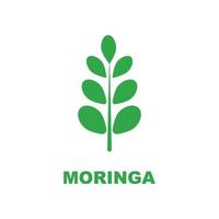 Grünes Moringa-Blatt-Logo, für pflanzliche Inhaltsstoffe, Moringa-Landwirtschaft, Gesundheit, Medizinindustrie, Schönheit, Therapie, Konzeptdesign-Vektorillustrations-Icon-Vorlage mit einem modernen Konzept vektor