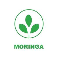 grön moringa blad logotyp, för ört- Ingredienser, moringa jordbruk, hälsa, medicin industri, skönhet, terapi, begrepp design vektor illustration ikon mall med en modern begrepp