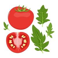 uppsättning av röd tomater och grön löv vektor