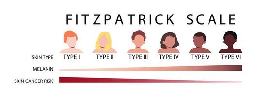 fitzpatrick skala hud typer infographic vektor illustration