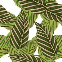 dekorativ tropisk handflatan löv sömlös mönster. djungel blad tapet. exotisk botanisk textur. vektor