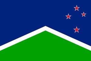 enkel flagga av söder ö av ny zealand vektor