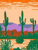 saguaro kaktus i Sonoran Desert National Monument ligger söder om Buckeye och öster om Gila Böj Arizona WPA affisch konst vektor