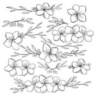 kontinuerlig linje teckning uppsättning av växter svart skiss av blommor isolerat på vit bakgrund. blommor ett linje illustration. minimalistisk grafik uppsättning. vektor eps 10