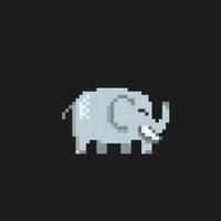 söt elefant i pixel konst stil vektor