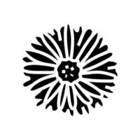 Aster blühen Frühling Glyphe Symbol Vektor Illustration