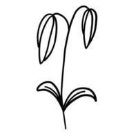 Blume im Gliederung Gekritzel eben Stil zum Färbung. einfach Blumen- Element Pflanze Blätter dekorativ Design. Hand gezeichnet Linie Kunst. kreativ skizzieren. Vektor Illustration isoliert auf Weiß Hintergrund.