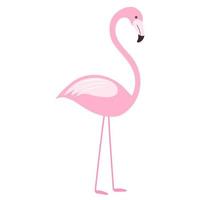 klämma konst med en rosa flamingo fågel i en förenklad platt stil på vit. vektor