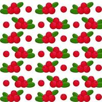 Cranberry mit Grün Blätter nahtlos Muster.für Ihre Design, Muster, Abzeichen, Etikett, Textil- usw. Sommer- Früchte zum gesund Lebensstil. organisch Frucht. Karikatur Stil. Vektor Illustration