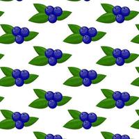 blåbär med löv sömlös mönster. för din design, mönster, bricka, märka, textil- etc. sommar frukt för friska livsstil. organisk frukt. tecknad serie stil. vektor illustration