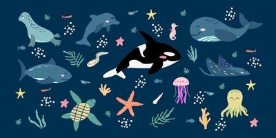 einstellen von Hand gezeichnet Meer Tiere zum Kinder. Clip Art von süß Delfin, Orca, Wal, Tintenfisch und andere Ozean Kreaturen im kindisch Stil. vektor